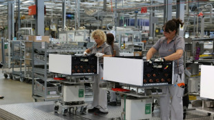 Regierung senkt Wachstumsprognose f&uuml;r 2025 von 1,1 auf 0,3 Prozent ab
