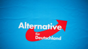 Menschenrechts-Institut h&auml;lt AfD-Verbot rechtlich f&uuml;r m&ouml;glich