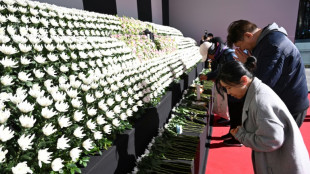 Menos accidentes a&eacute;reos en 2024, pero mayor cantidad de muertos, seg&uacute;n la IATA