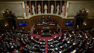 "Plusieurs appels par jour, c'&eacute;tait infernal": le Parlement ent&eacute;rine l'interdiction du d&eacute;marchage t&eacute;l&eacute;phonique non consenti