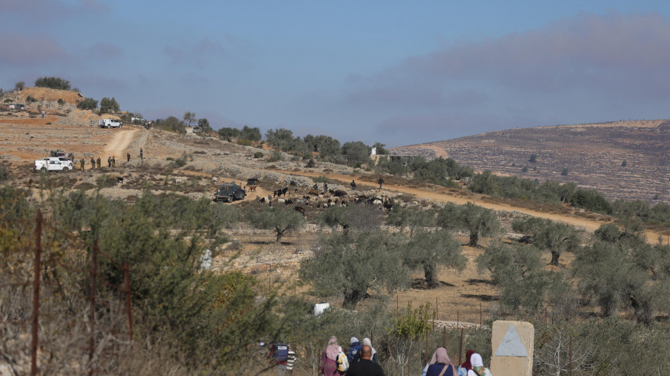 Anp, palestinese ucciso da coloni israeliani nell'area di Ramallah