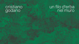 Il 13 novembre esce Un filo d'erba nel muro, nuovo album di Cristiano Godano