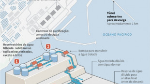 Primeiros despejos de &aacute;gua de Fukushima n&atilde;o s&atilde;o nocivos, afirma AIEA