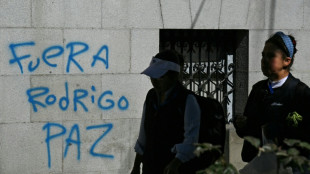 Bolivia says protesters trying to 'disrupt democratic order'&nbsp; 