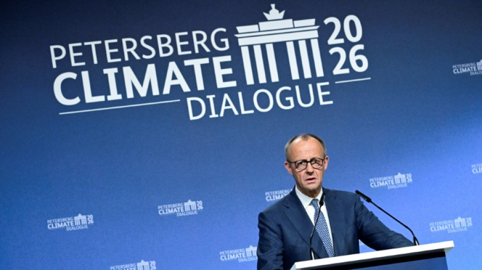 Merz says climate policy must not 'endanger' German industry