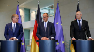 Merz nimmt an Jahrestreffen von Wirtschaftsinitiative "Made for Germany" teil