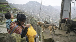 Peru, &iacute;cone gastron&ocirc;mico e pa&iacute;s com maior inseguran&ccedil;a alimentar da Am&eacute;rica do Sul