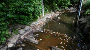 La Bretagne enregistre un "Triste record" avec de nombreux cours d'eau &agrave; sec l'&eacute;t&eacute; dernier 