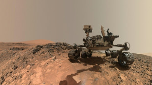 Rover discovers more building blocks of life on Mars