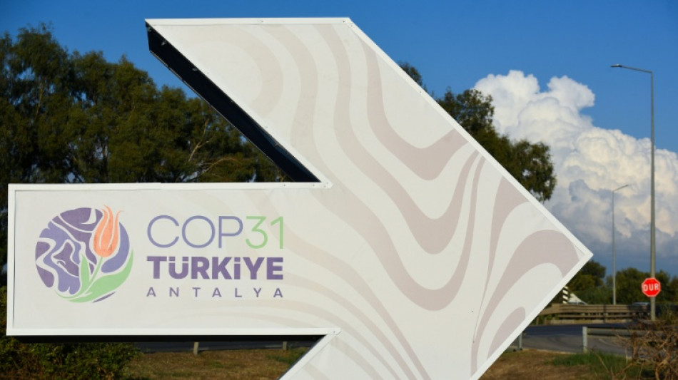 Electrificaci&oacute;n, metano y finanzas clim&aacute;ticas: la agenda de la COP31