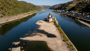 'We just need rain': Germany's Rhine river hits new low
