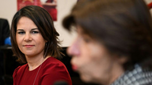 Baerbock reist zu Gespr&auml;chen mit franz&ouml;sischer Regierung nach Paris