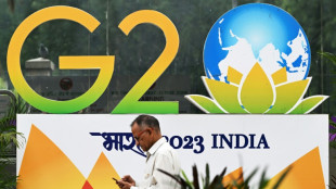 Presen&ccedil;as e aus&ecirc;ncias na c&uacute;pula do G20 na &Iacute;ndia