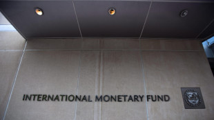 Fmi, 'l'Italia ha spazi per migliorare, crescita attuale insoddisfacente'
