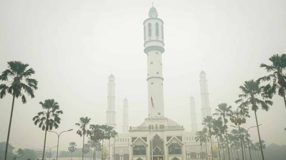 'Gift from God': Rain brings relief from Indonesia toxic haze