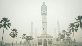 'Gift from God': Rain brings relief from Indonesia toxic haze