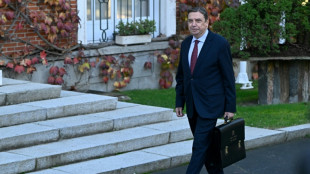 Confirman siete nuevos casos de peste porcina africana cerca de Barcelona