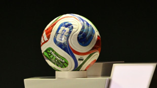 Gr&ouml;nland-Krise: Debatte um Boykott von Fu&szlig;ball-WM in den USA