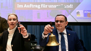 AfD-Fraktion best&auml;tigt F&uuml;hrungs-Duo - und nimmt umstrittene Politiker auf