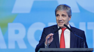 Il Giappone riapre il mercato alla carne argentina dopo 20 anni