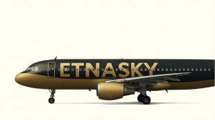 Etna Sky, compagnia apre sito e cerca personale 'appassionato di volo'