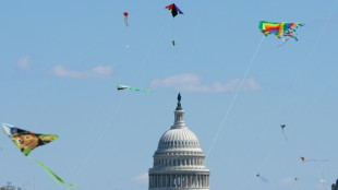 Cherry blossoms, kite-flying and 'No Kings' converge on Washington