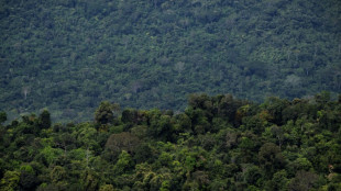 Brasilianisches Unterhaus stimmt f&uuml;r Einschr&auml;nkung von Landrechten f&uuml;r Indigene