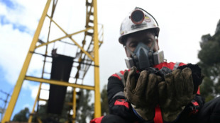 Colombia coal exports plummet after ban on Israel sales