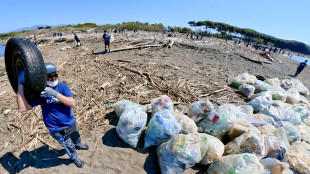 Detenuti in campo con Plastic Free e Seconda Chance per ripulire l'Italia