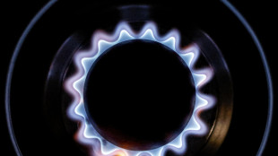 Il prezzo del gas chiude in rialzo a 50,04 euro al megawattora