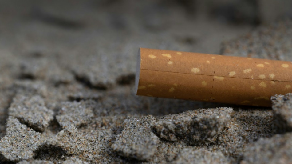 Fumer à la plage, au parc ou sous un abribus interdit à partir de dimanche, selon un décret au JO
