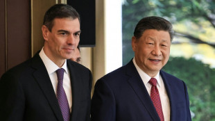 Xi insta a la UE a "resistir juntas" al "hostigamiento" 
