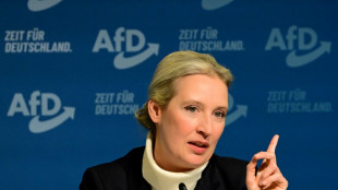 AfD-Vorstand k&uuml;rt Weidel zur ersten Kanzlerkandidatin der Partei