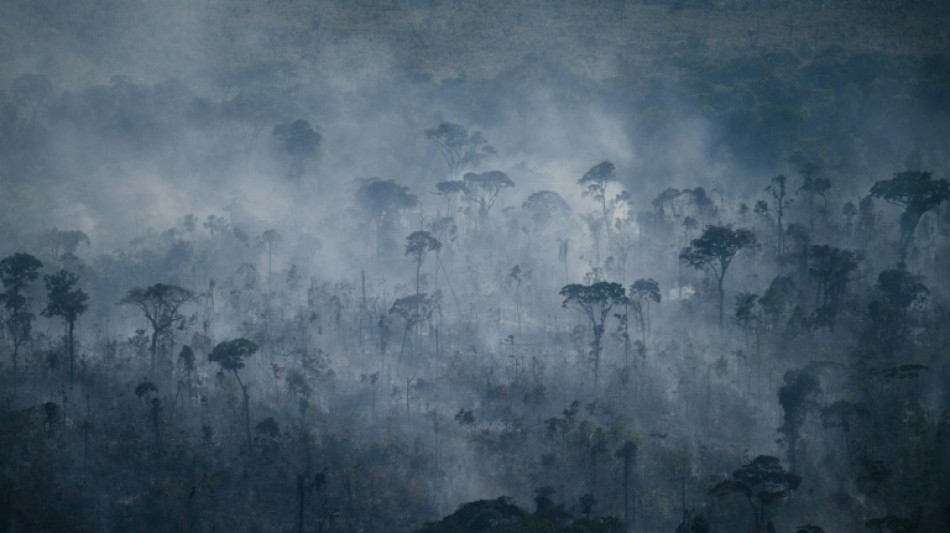 Incendios en la Amazon&iacute;a de Brasil aumentaron en julio