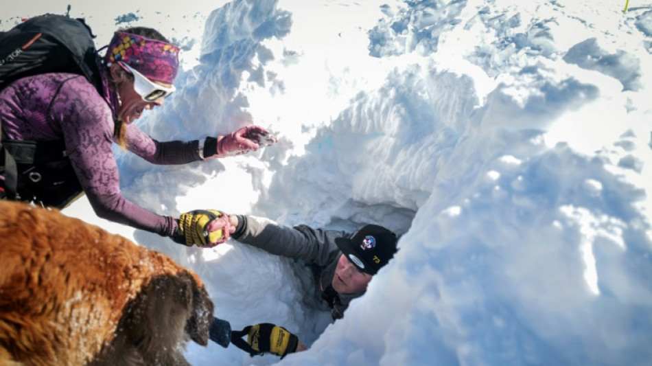 Les chiens d'avalanche &agrave; l'entra&icirc;nement avant la d&eacute;ferlante des vacanciers