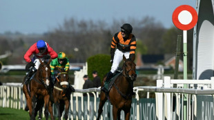 Nick Rockett flies to victory in magical Mullins Grand National