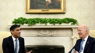 Sunak se re&uacute;ne con Biden para hablar de Ucrania 