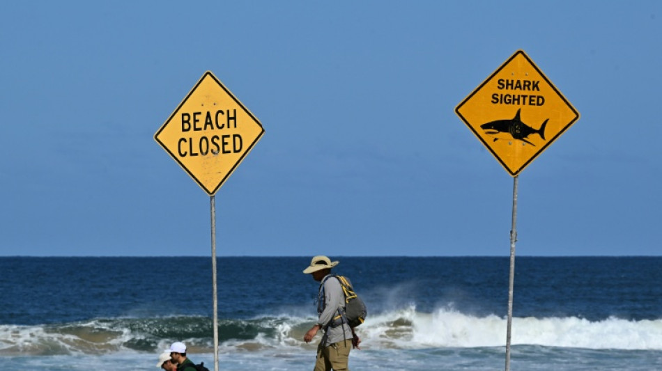 Ataque de tubarão deixa um morto e outro ferido na Austrália
