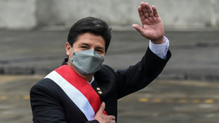 Castillo defiende su gesti&oacute;n y denuncia campa&ntilde;a en Per&uacute; para destituirlo