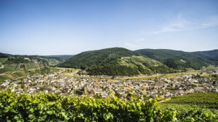 EU-Länder einigen sich auf Unterstützung für Weinbauern