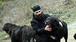 Dans les montagnes de Mac&eacute;doine du Nord, le combat pour la reconnaissance des chiens Karaman