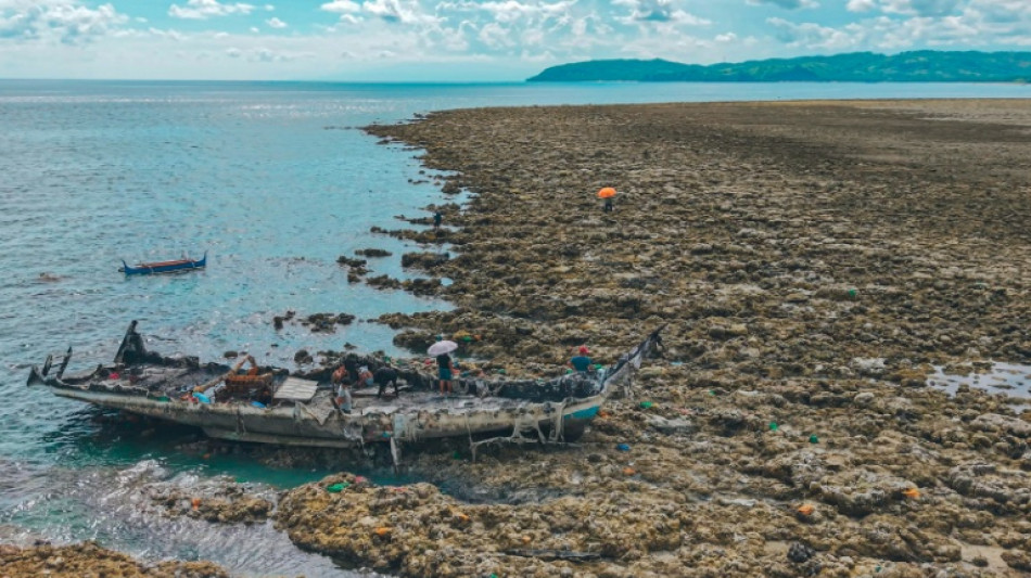 Philippines: apr&egrave;s un fort s&eacute;isme, les coraux et les craintes font surface