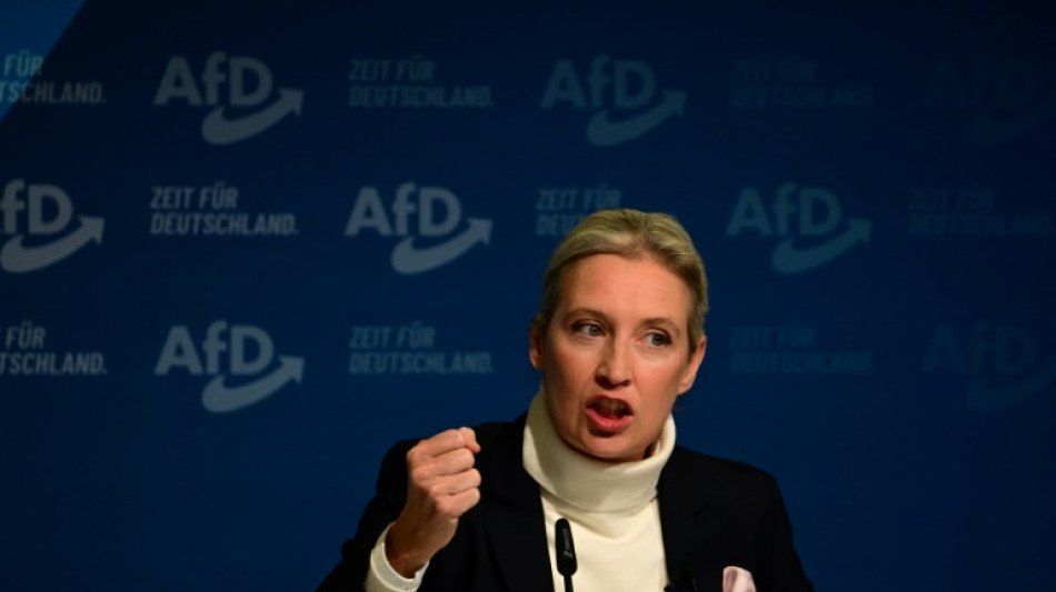 Musk und Weidel veranstalten Live-Gespr&auml;ch auf X