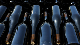 Fran&ccedil;a anuncia milh&otilde;es de euros para converter excesso de vinho em &aacute;lcool e perfumes