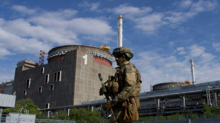 Ucrania acusa a Rusia de bombardear la ciudad donde est&aacute; la central nuclear antes de la visita del OIEA