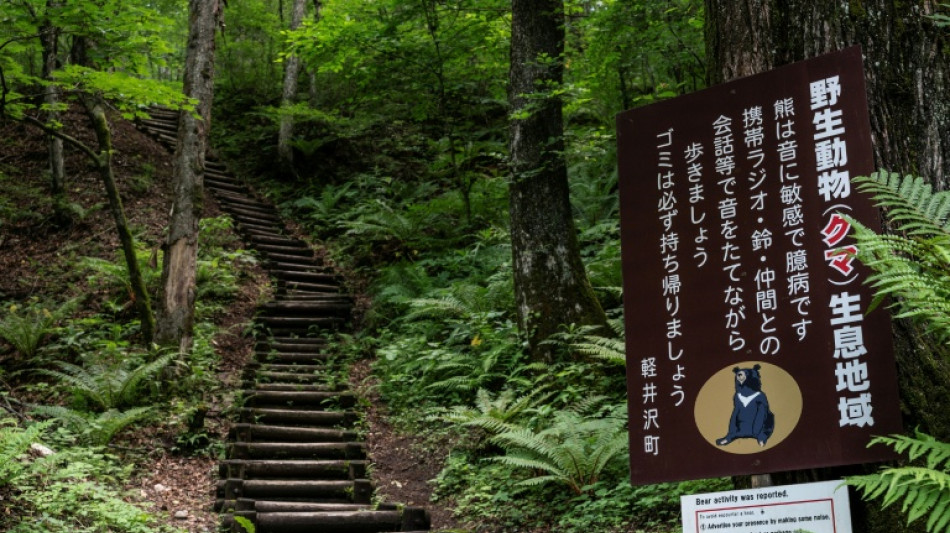 Japan governor asks for military help against 'dire' bear attacks