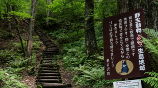 T&ouml;dliche B&auml;renangriffe in Japan: Gouverneur fordert Hilfe der Armee an