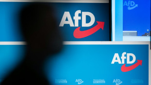 AfD-Verbot: SPD-Fraktionsvorsitzende fordern Einleitung eines Pr&uuml;fverfahrens