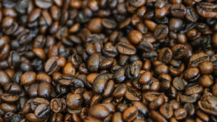 Fao celebra prima Giornata Internazionale del Caff&egrave;, un mercato da 34 miliardi dollari