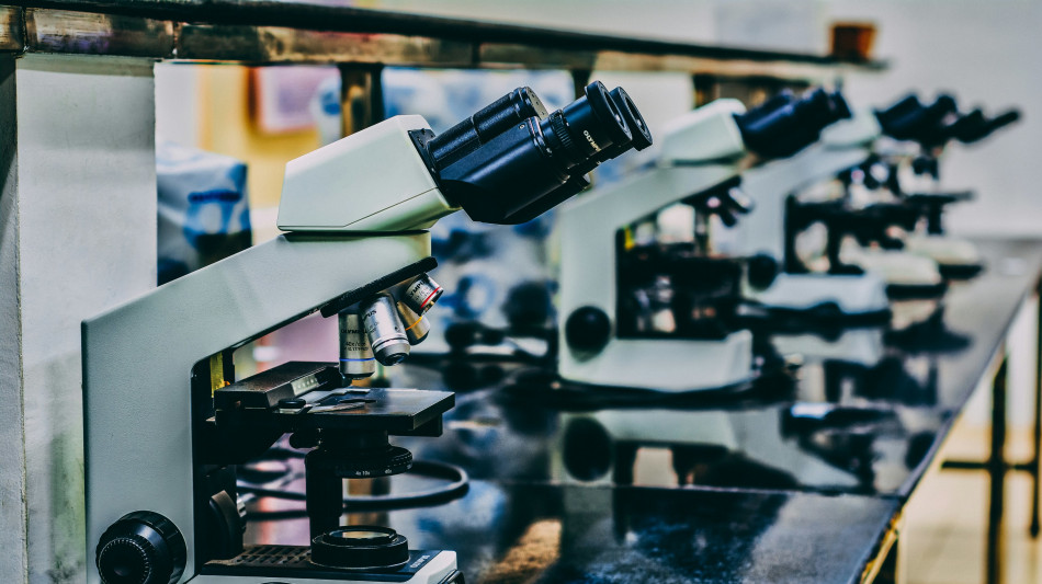 In Italia quasi 2,5 miliardi in 7 anni per ricerca contro cancro